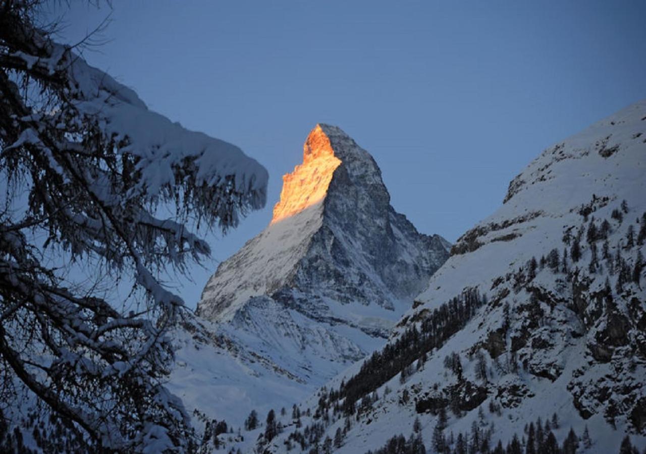 Apartment Brunnmatt Zermatt Exteriör bild
